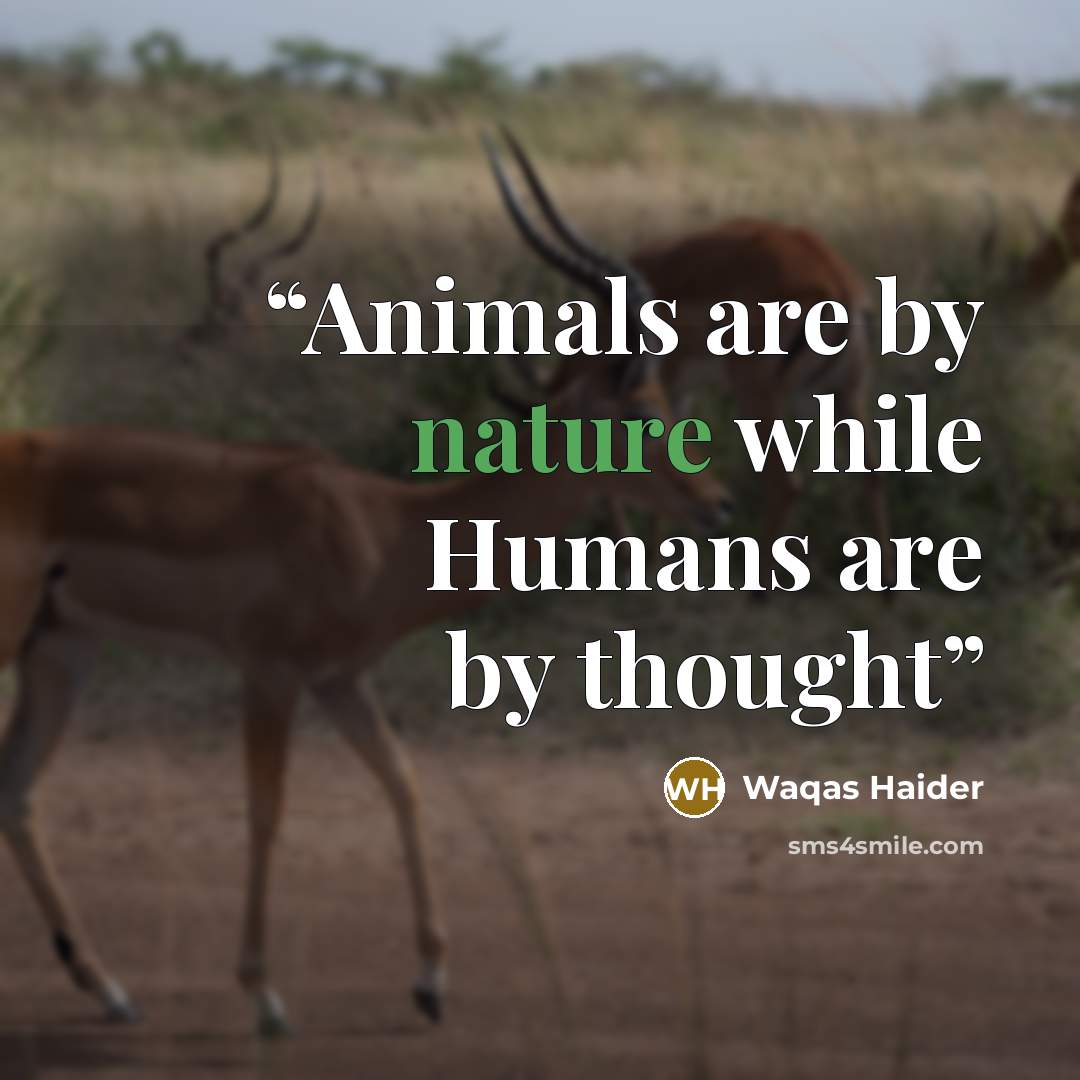 “Animals are by nature while Humans are by thought” quote by Waqas Haider