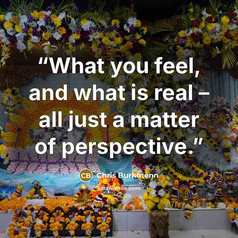 “What you feel, and what is real – all just a matter of perspective.” quote by Chris Burkmenn