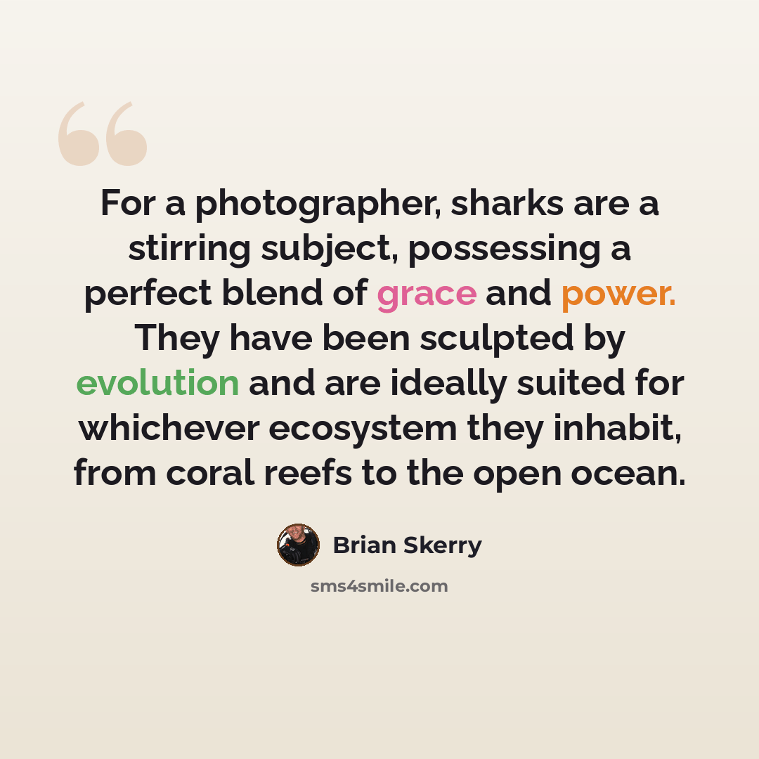 “For a photographer, sharks are a stirring subject, possessing a perfect blend of grace and power. They have been sculpted by evolution and are ideally suited for whichever ecosystem they inhabit, from coral reefs to the open ocean.” quote by Brian Skerry