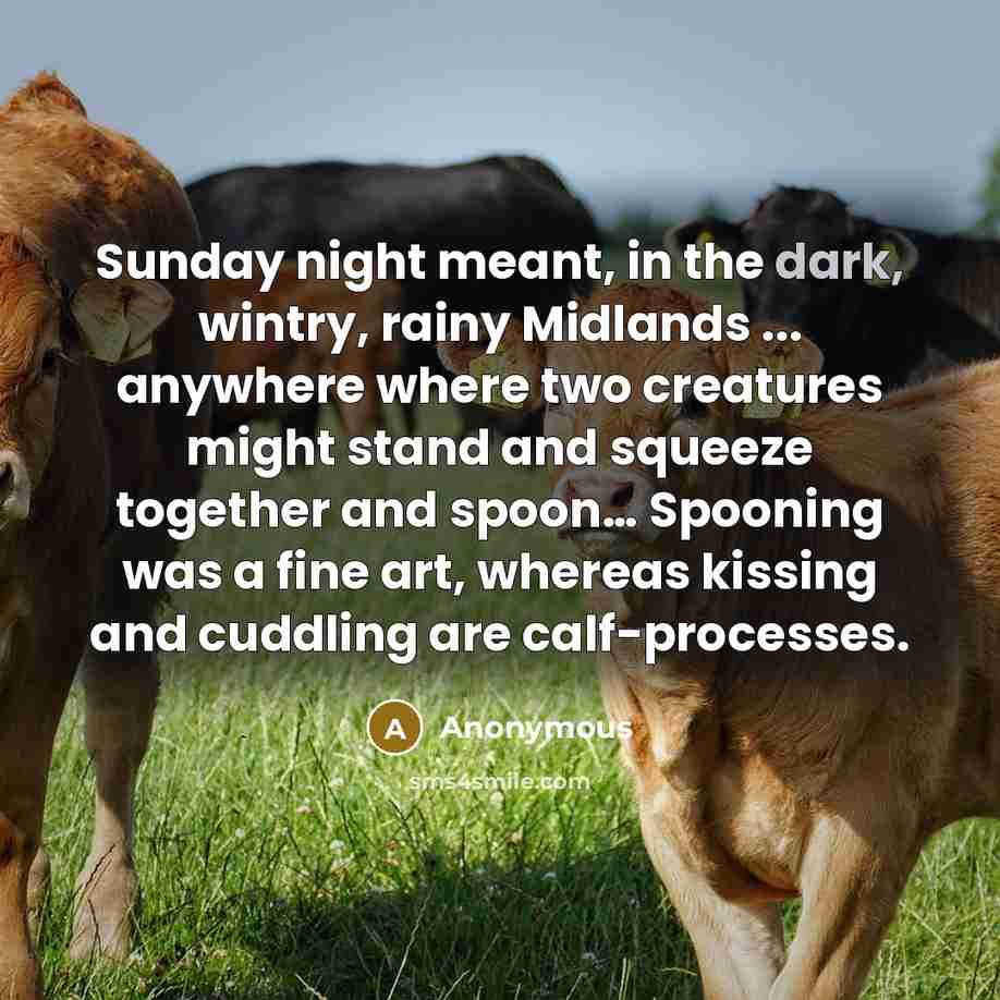 “Sunday night meant, in the dark, wintry, rainy Midlands ... anywhere where two creatures might stand and squeeze together and spoon… Spooning was a fine art, whereas kissing and cuddling are calf-processes.” quote by Anonymous