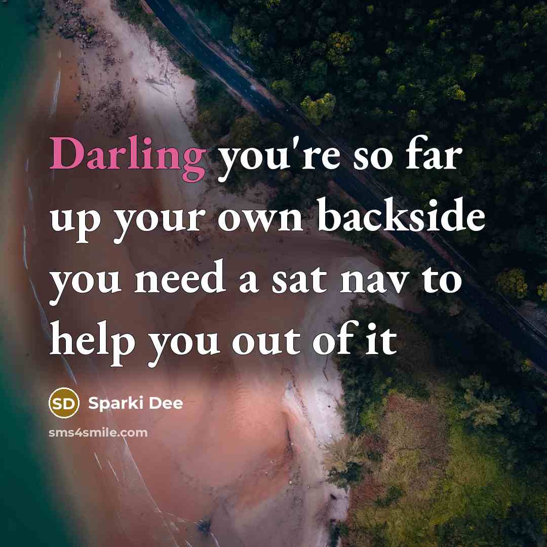 “Darling you're so far up your own backside you need a sat nav to help you out of it” quote by Sparki Dee