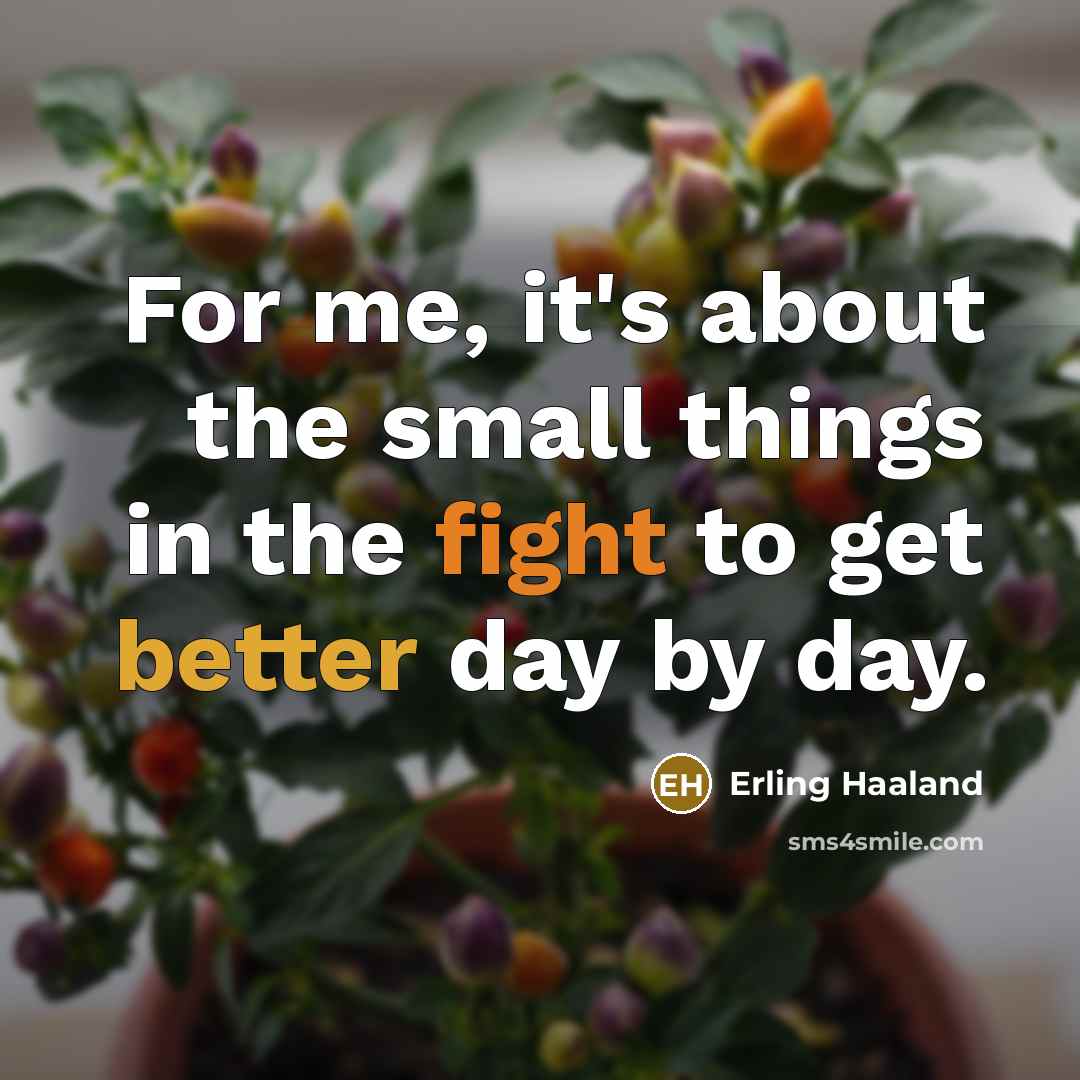 “For me, it's about the small things in the fight to get better day by day.” quote by Erling Haaland