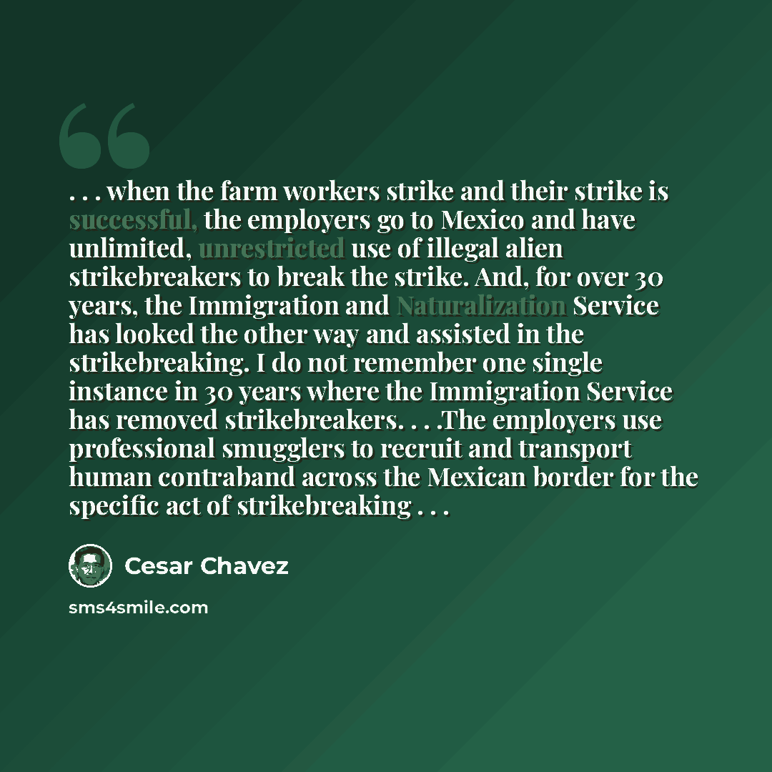 “. . . when the farm workers strike and their strike is successful, the employers go to Mexico and have unlimited, unrestricted use of illegal alien strikebreakers to break the strike. And, for over 30 years, the Immigration and Naturalization Service has looked the other way and assisted in the…” quote by Cesar Chavez
