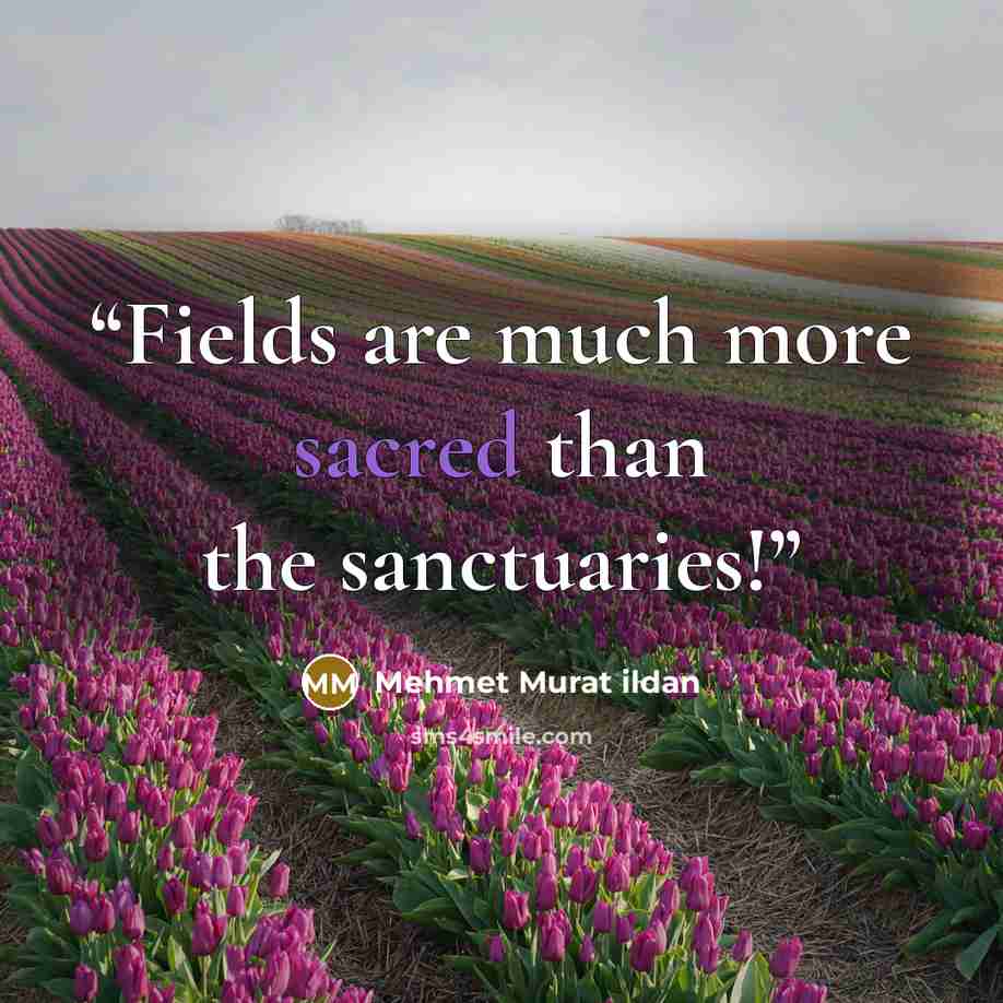 “Fields are much more sacred than the sanctuaries!” quote by Mehmet Murat ildan