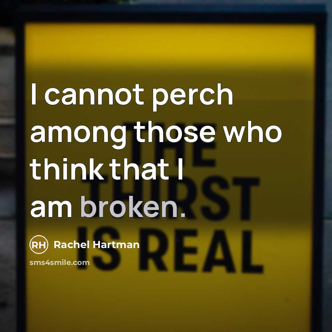 “I cannot perch among those who think that I am broken.” quote by Rachel Hartman