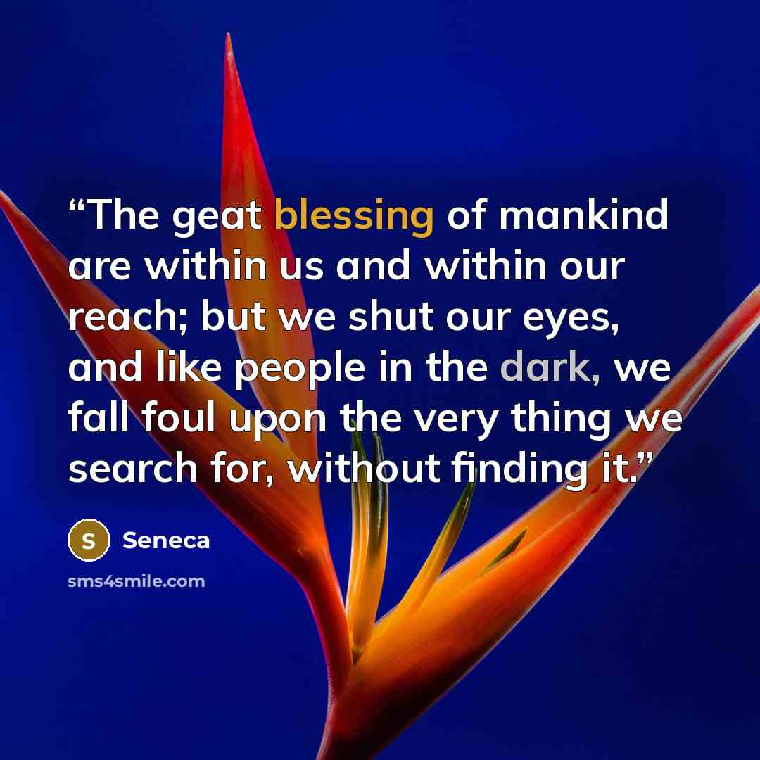 “The geat blessing of mankind are within us and within our reach; but we shut our eyes, and like people in the dark, we fall foul upon the very thing we search for, without finding it.” quote by Seneca