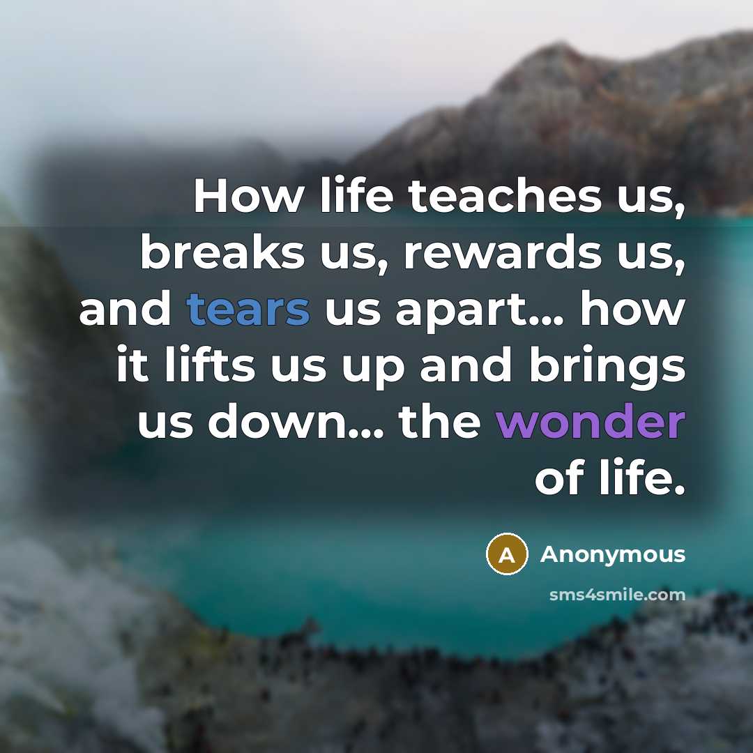 “How life teaches us, breaks us, rewards us, and tears us apart... how it lifts us up and brings us down... the wonder of life.” quote by Anonymous