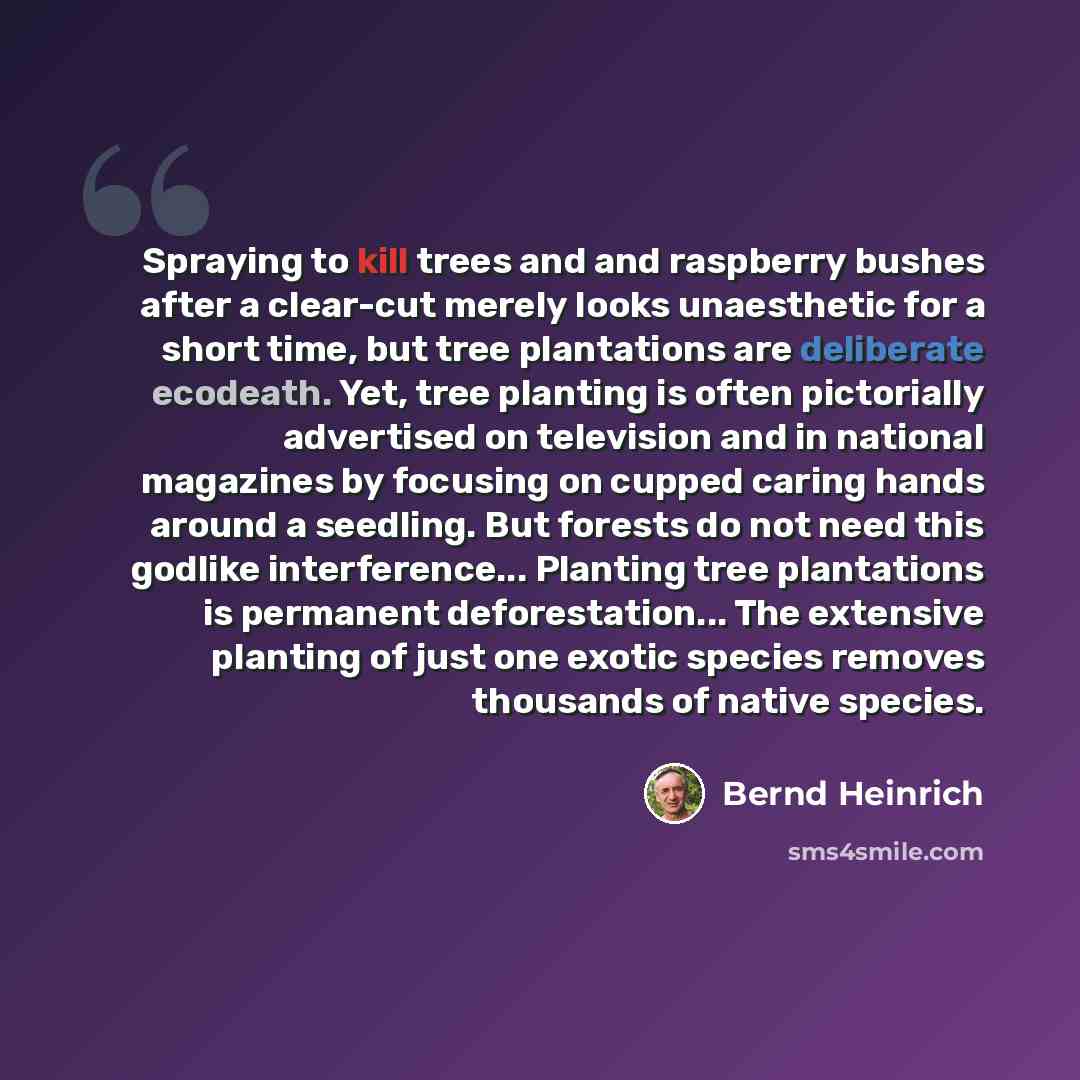 “Spraying to kill trees and and raspberry bushes after a clear-cut merely looks unaesthetic for a short time, but tree plantations are deliberate ecodeath. Yet, tree planting is often pictorially advertised on television and in national magazines by focusing on cupped caring hands around a…” quote by Bernd Heinrich