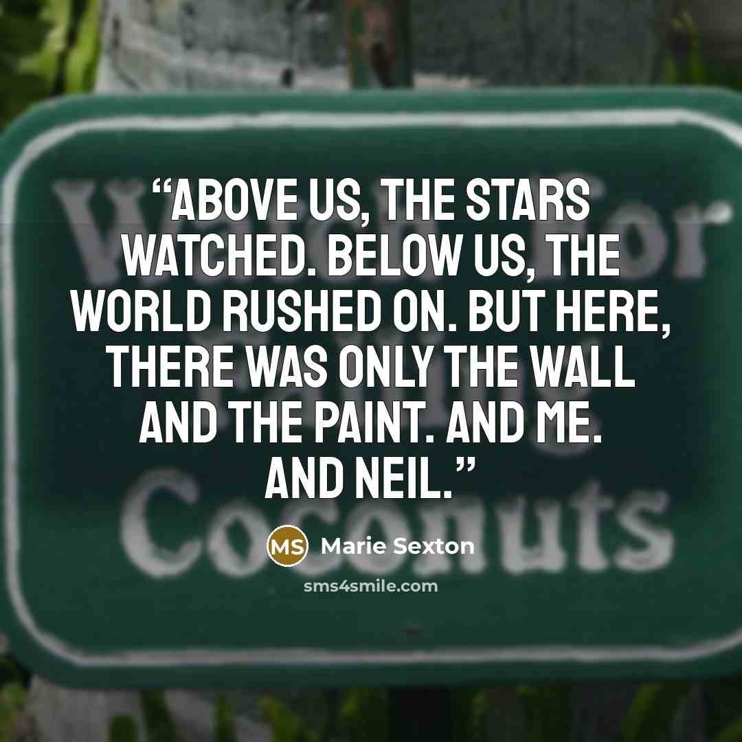 “Above us, the stars watched. Below us, the world rushed on. But here, there was only the wall and the paint. And me. And Neil.” quote by Marie Sexton
