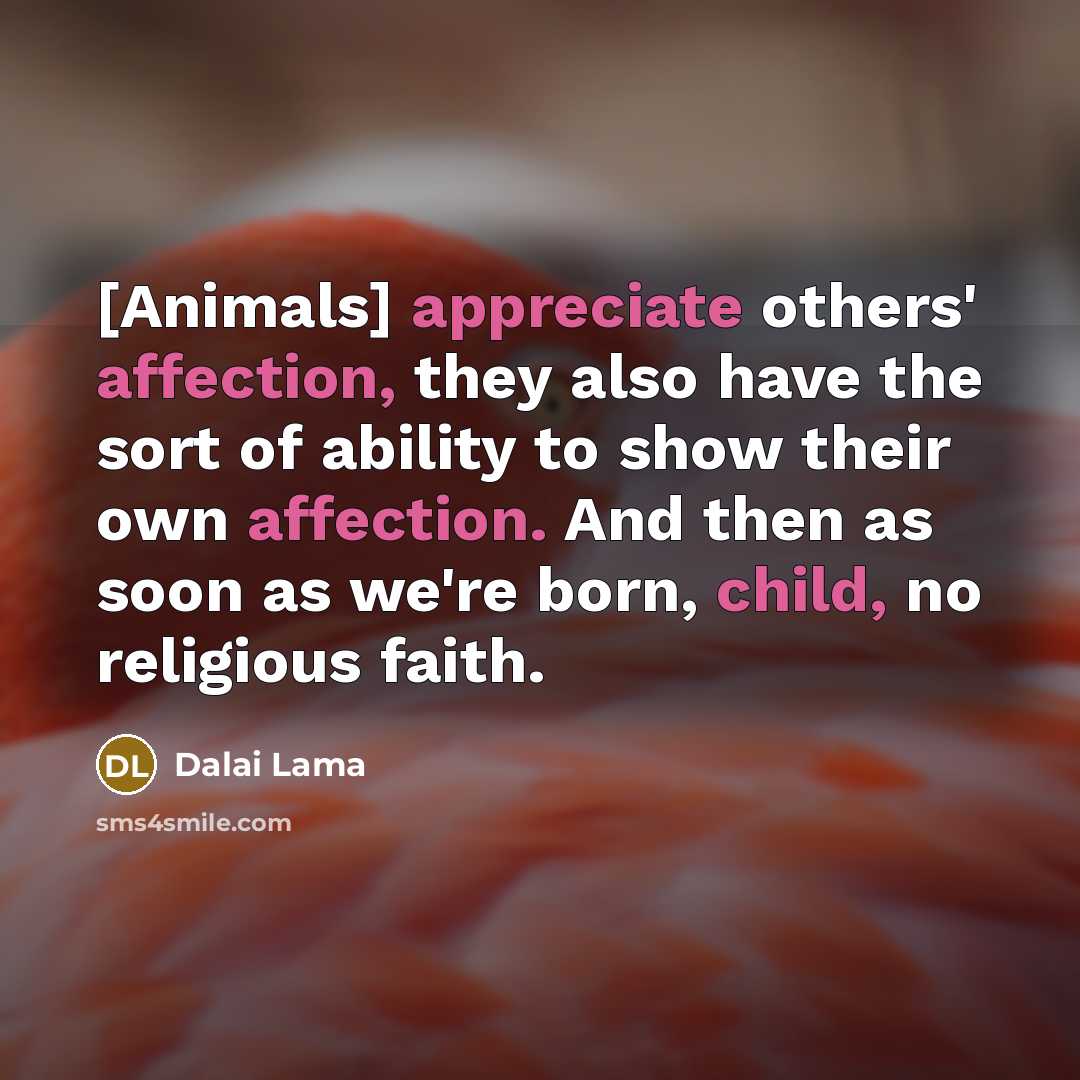 “[Animals] appreciate others' affection, they also have the sort of ability to show their own affection. And then as soon as we're born, child, no religious faith.” quote by Dalai Lama