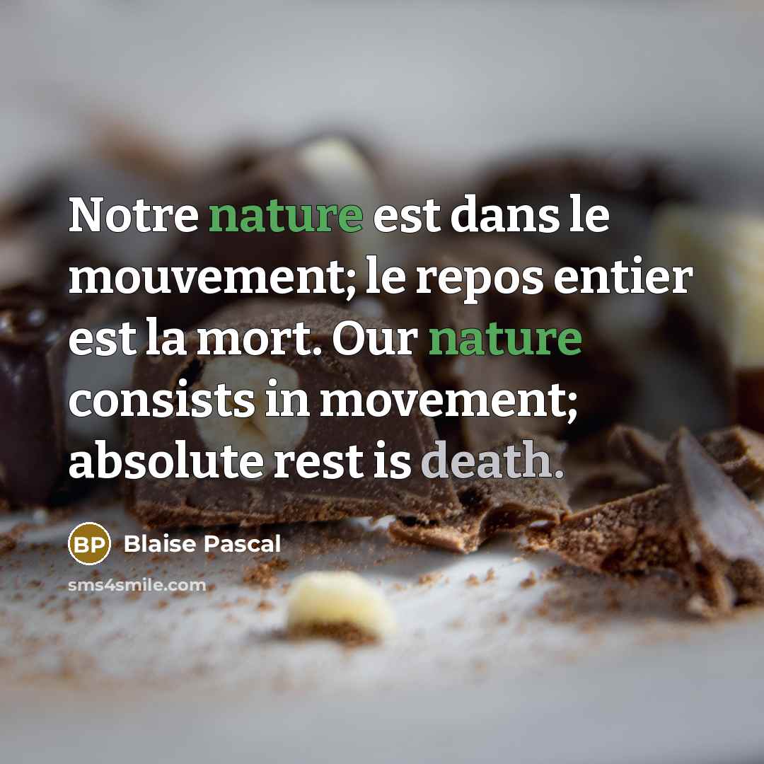 “Notre nature est dans le mouvement; le repos entier est la mort. Our nature consists in movement; absolute rest is death.” quote by Blaise Pascal