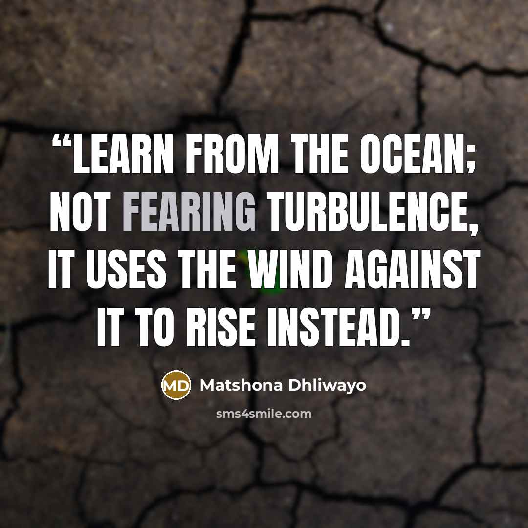“Learn from the ocean; not fearing turbulence, it uses the wind against it to rise instead.” quote by Matshona Dhliwayo