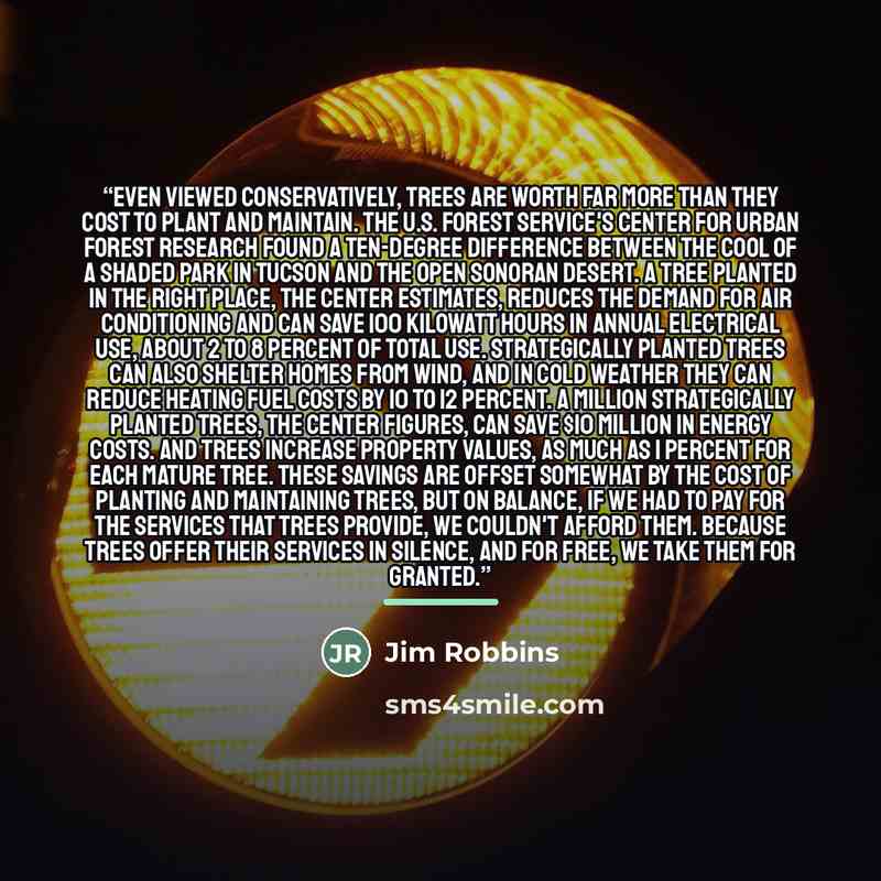 “Even viewed conservatively, trees are worth far more than they cost to plant and maintain. The U.S. Forest Service's Center for Urban Forest Research found a ten-degree difference between the cool of a shaded park in Tucson and the open Sonoran desert. A tree planted in the right place, the center…” quote by Jim Robbins
