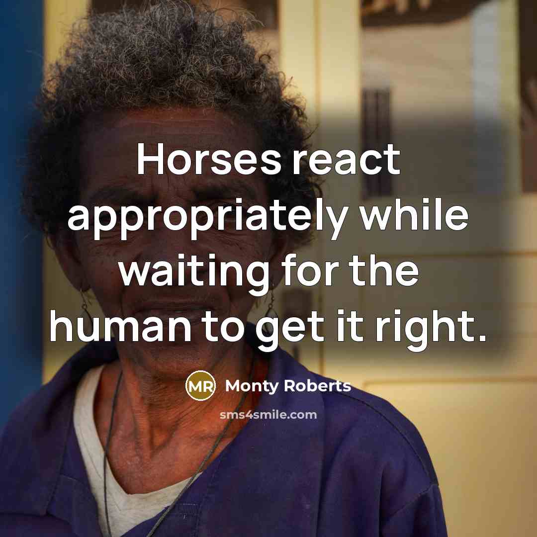 “Horses react appropriately while waiting for the human to get it right.” quote by Monty Roberts