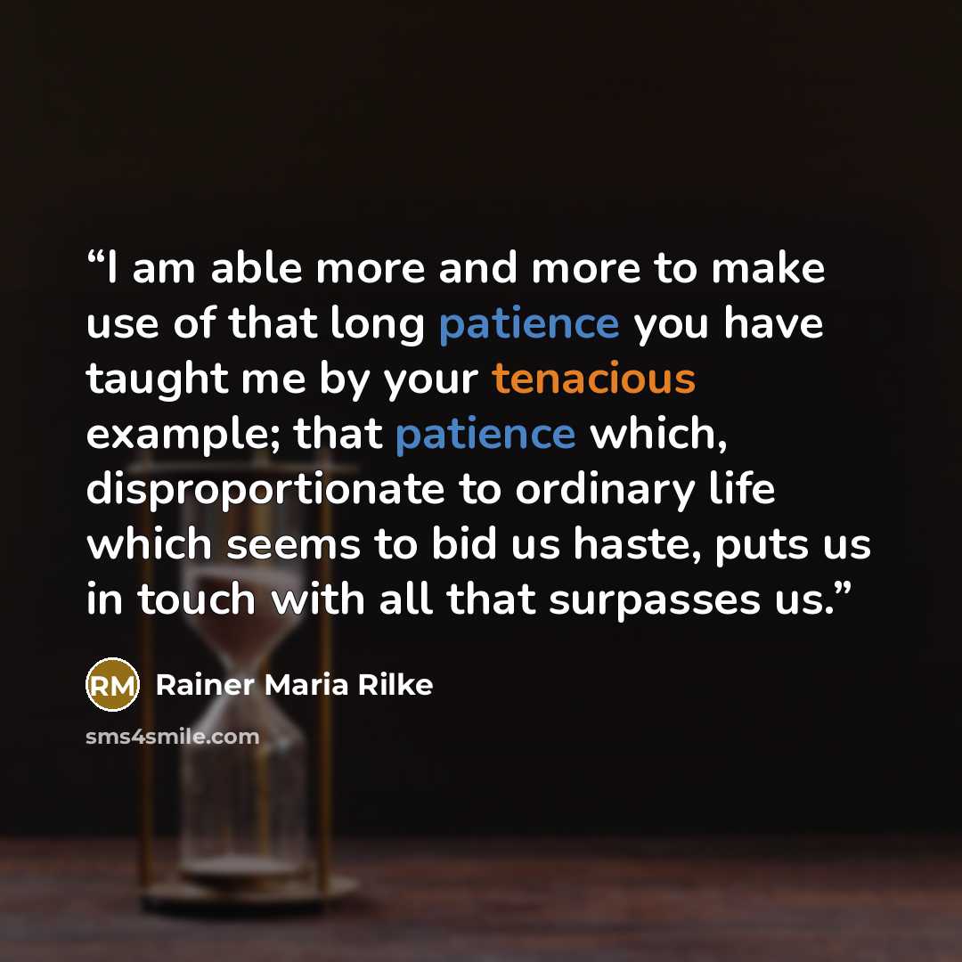 “I am able more and more to make use of that long patience you have taught me by your tenacious example; that patience which, disproportionate to ordinary life which seems to bid us haste, puts us in touch with all that surpasses us.” quote by Rainer Maria Rilke