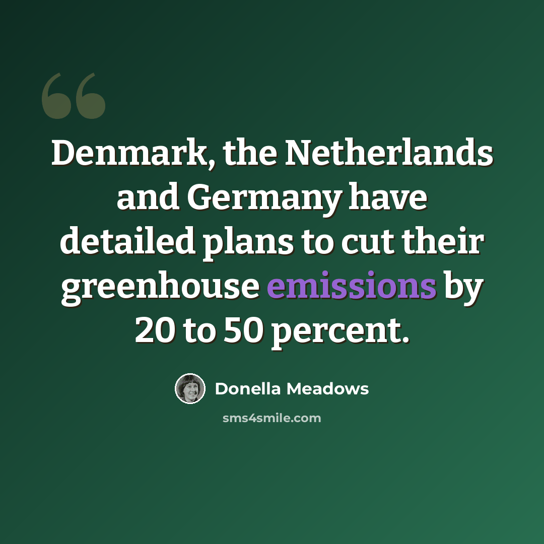 “Denmark, the Netherlands and Germany have detailed plans to cut their greenhouse emissions by 20 to 50 percent.” quote by Donella Meadows
