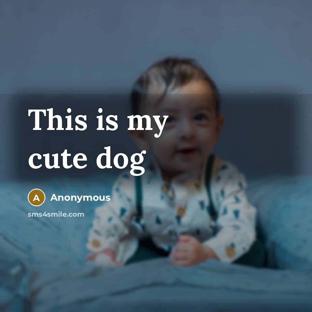“This is my cute dog” quote by Anonymous