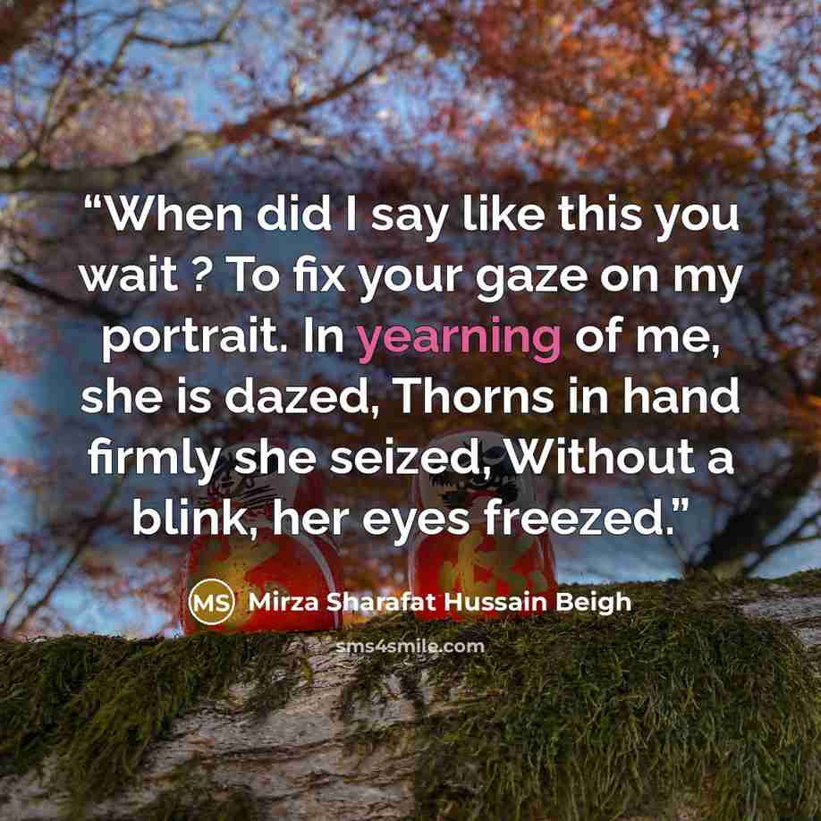 “When did I say like this you wait ? To fix your gaze on my portrait. In yearning of me, she is dazed, Thorns in hand firmly she seized, Without a blink, her eyes freezed.” quote by Mirza Sharafat Hussain Beigh