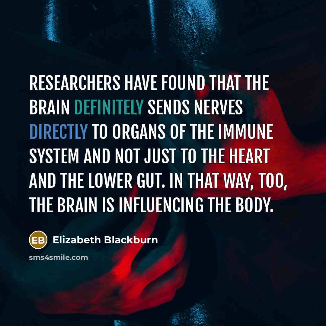 “Researchers have found that the brain definitely sends nerves directly to organs of the immune system and not just to the heart and the lower gut. In that way, too, the brain is influencing the body.” quote by Elizabeth Blackburn