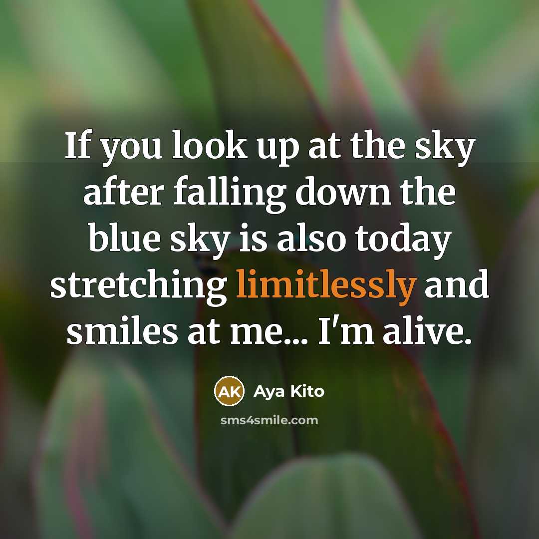 “If you look up at the sky after falling down the blue sky is also today stretching limitlessly and smiles at me... I'm alive.” quote by Aya Kito