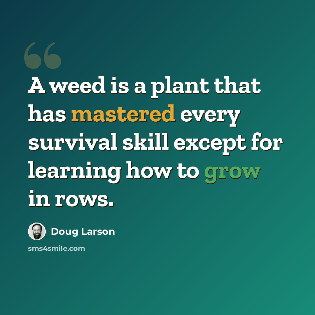 “A weed is a plant that has mastered every survival skill except for learning how to grow in rows.” quote by Doug Larson