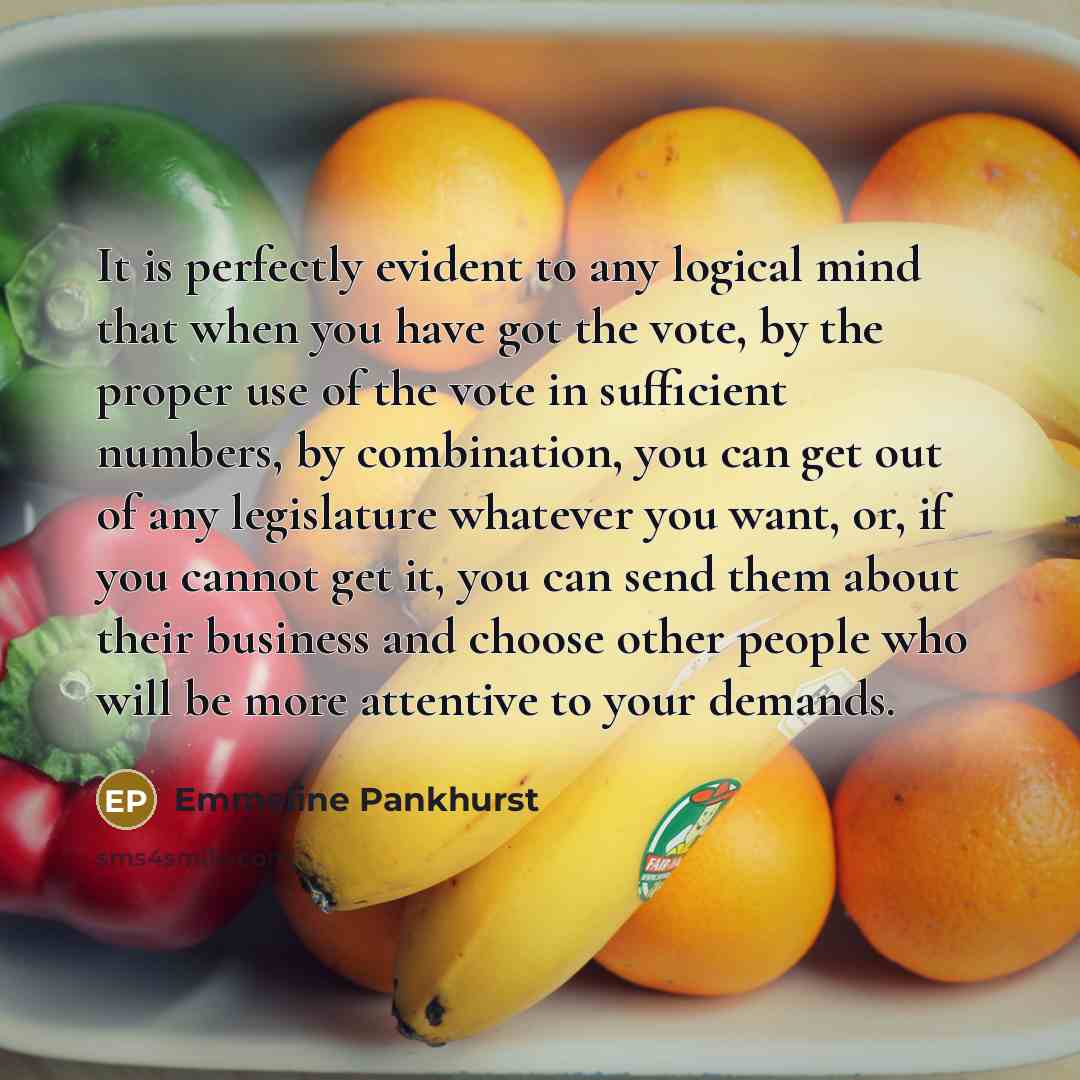 “It is perfectly evident to any logical mind that when you have got the vote, by the proper use of the vote in sufficient numbers, by combination, you can get out of any legislature whatever you want, or, if you cannot get it, you can send them about their business and choose other people who will…” quote by Emmeline Pankhurst