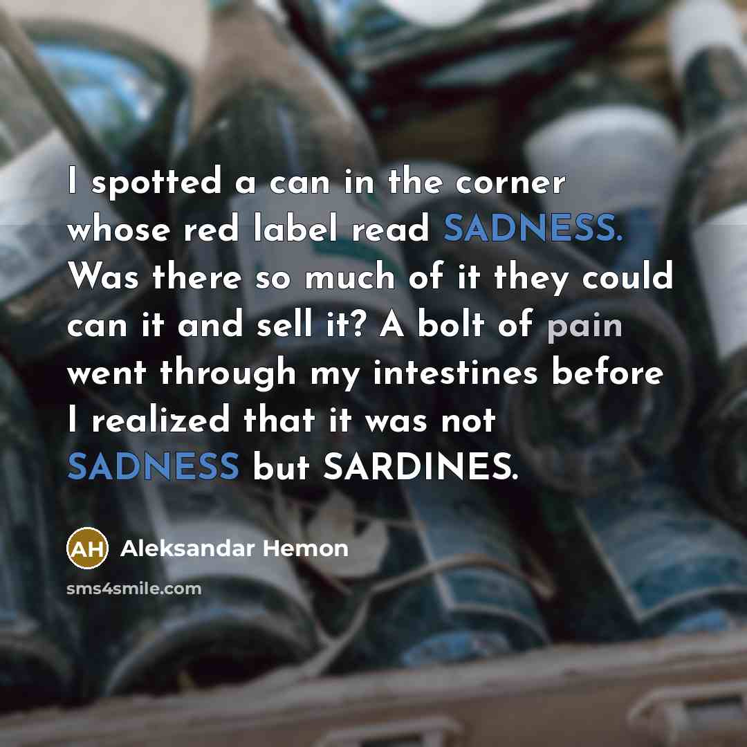 “I spotted a can in the corner whose red label read SADNESS. Was there so much of it they could can it and sell it? A bolt of pain went through my intestines before I realized that it was not SADNESS but SARDINES.” quote by Aleksandar Hemon