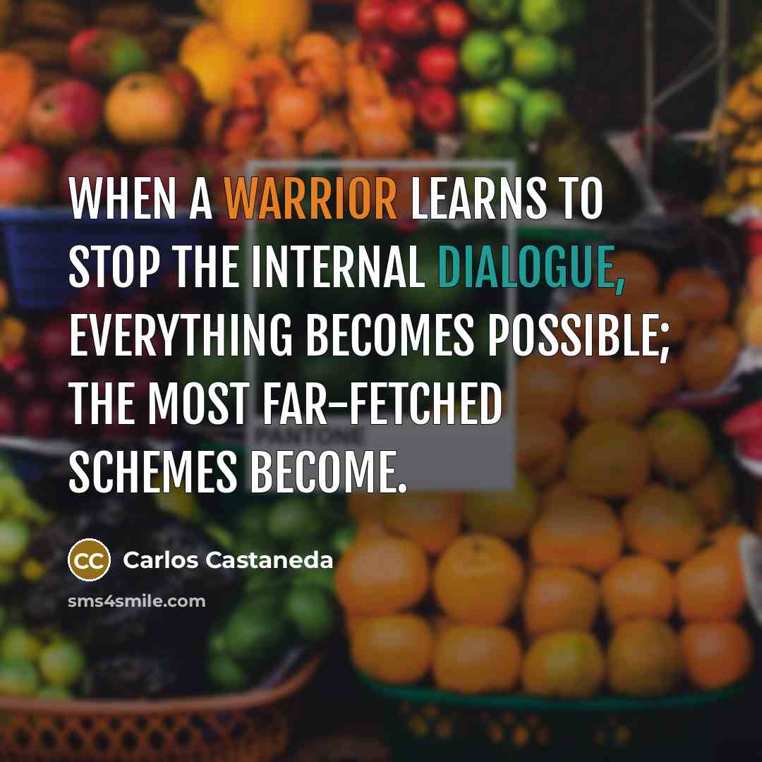 “When a warrior learns to stop the internal dialogue, everything becomes possible; the most far-fetched schemes become.” quote by Carlos Castaneda