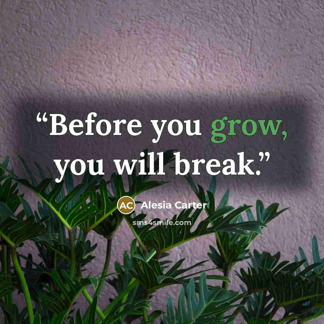 “Before you grow, you will break.” quote by Alesia Carter