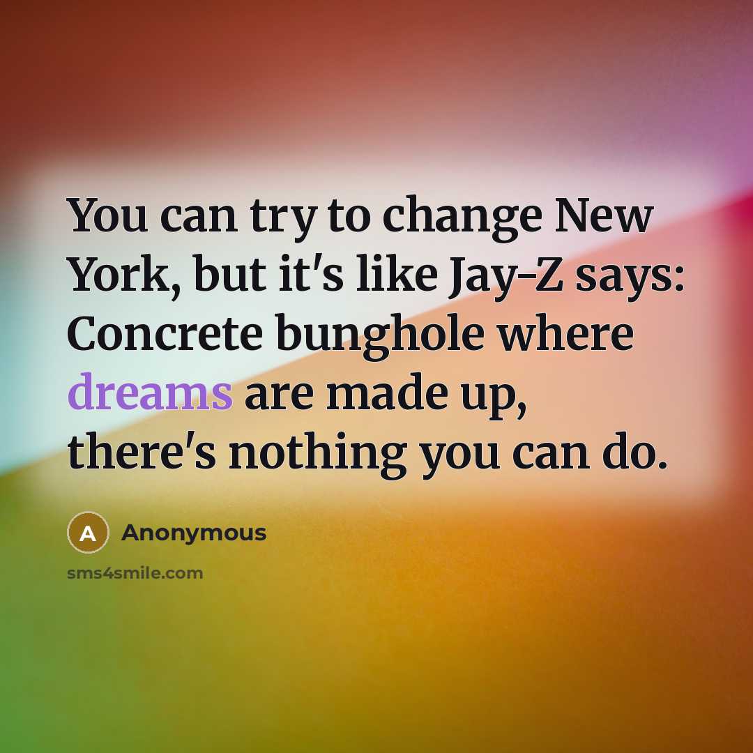 “You can try to change New York, but it's like Jay-Z says: Concrete bunghole where dreams are made up, there's nothing you can do.” quote by Anonymous