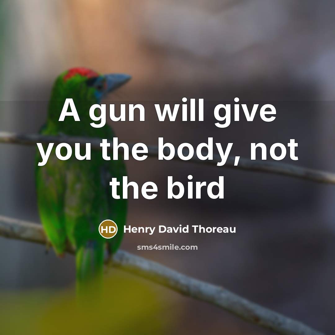 “A gun will give you the body, not the bird” quote by Henry David Thoreau