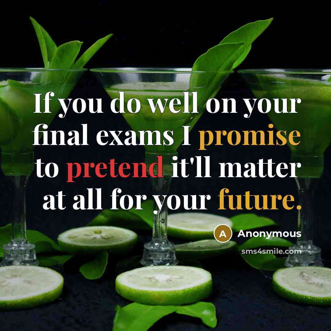 “If you do well on your final exams I promise to pretend it'll matter at all for your future.” quote by Anonymous