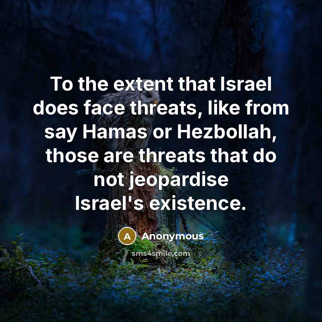“To the extent that Israel does face threats, like from say Hamas or Hezbollah, those are threats that do not jeopardise Israel's existence.” quote by Anonymous