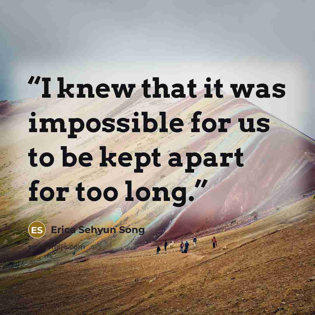 “I knew that it was impossible for us to be kept apart for too long.” quote by Erica Sehyun Song