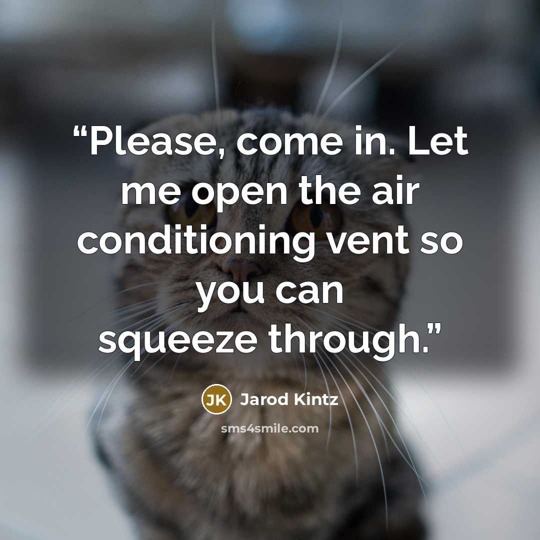 “Please, come in. Let me open the air conditioning vent so you can squeeze through.” quote by Jarod Kintz
