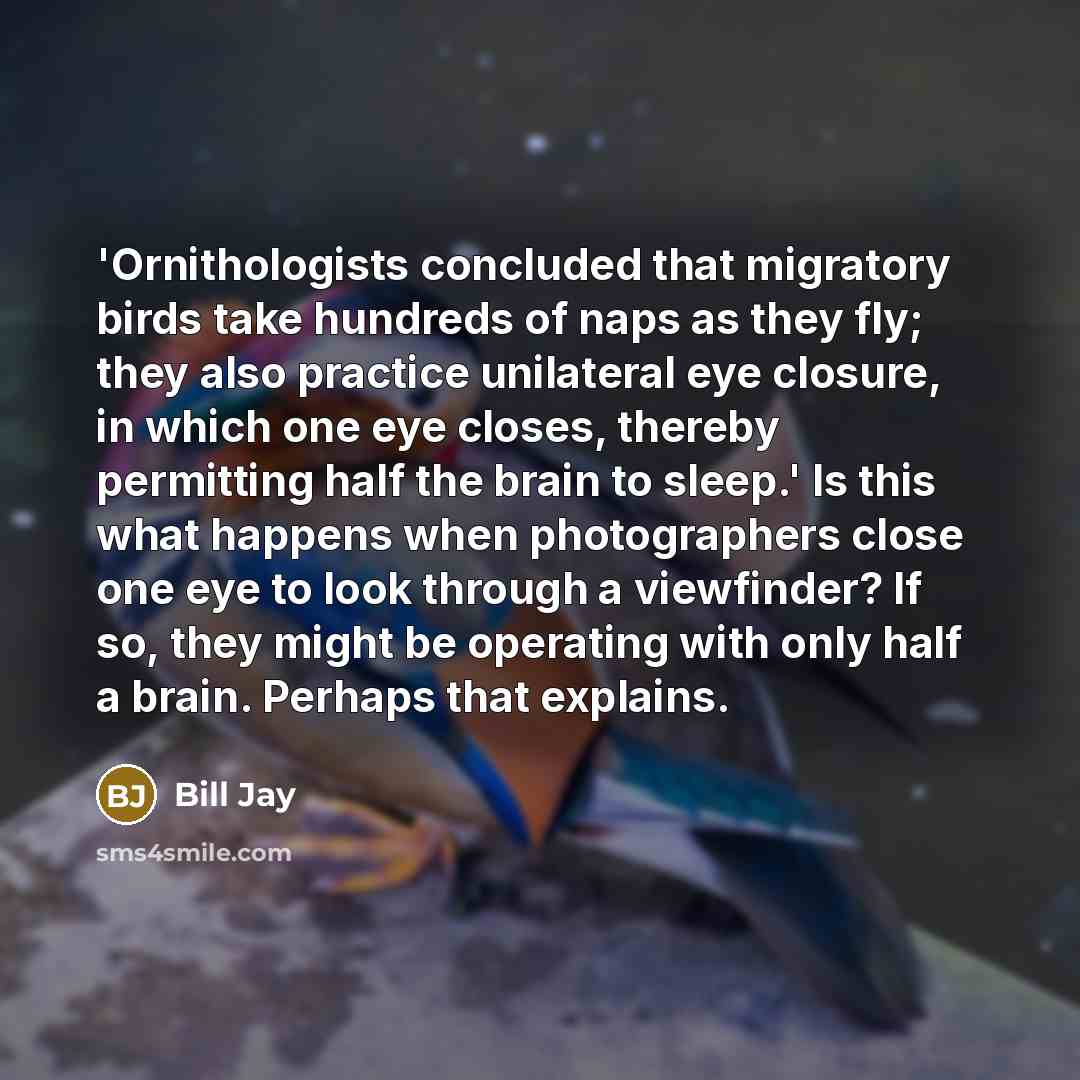 “'Ornithologists concluded that migratory birds take hundreds of naps as they fly; they also practice unilateral eye closure, in which one eye closes, thereby permitting half the brain to sleep.' Is this what happens when photographers close one eye to look through a viewfinder? If so, they might…” quote by Bill Jay