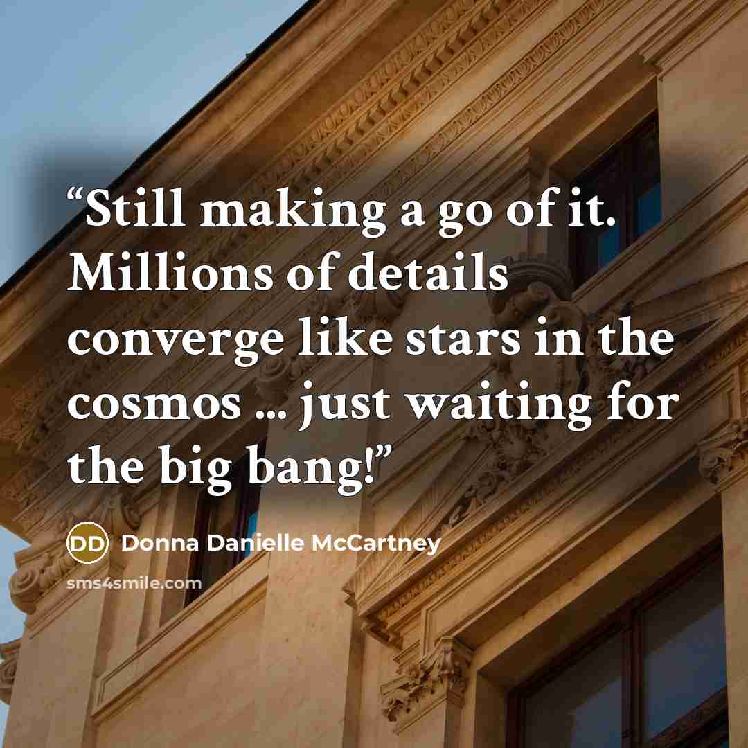 “Still making a go of it. Millions of details converge like stars in the cosmos ... just waiting for the big bang!” quote by Donna Danielle McCartney