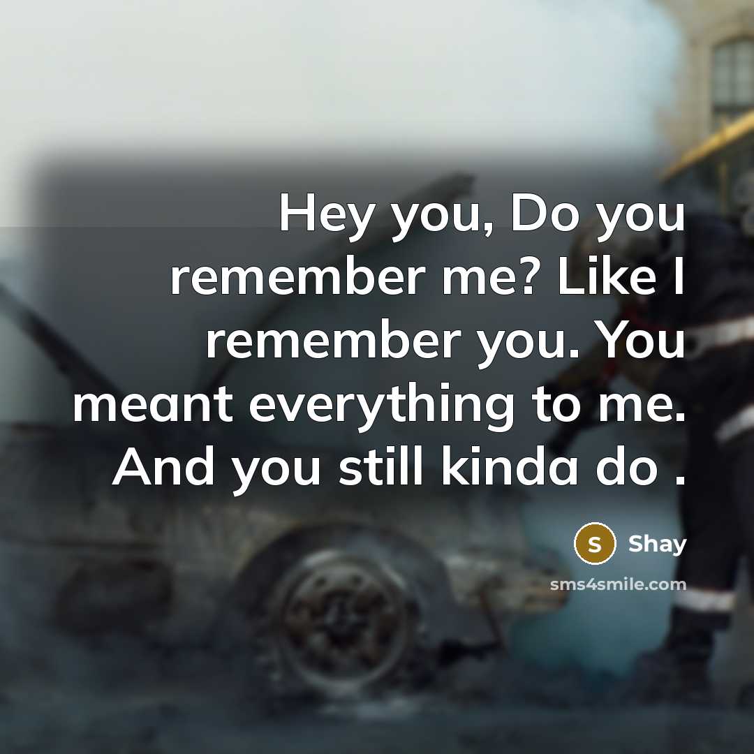 “Hey you, Do you remember me? Like I remember you. You meant everything to me. And you still kinda do .” quote by Shay