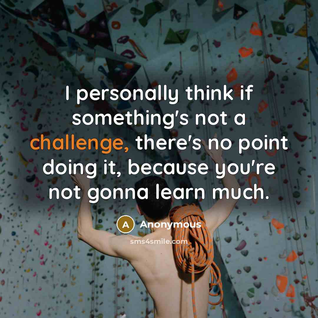 “I personally think if something's not a challenge, there's no point doing it, because you're not gonna learn much.” quote by Anonymous