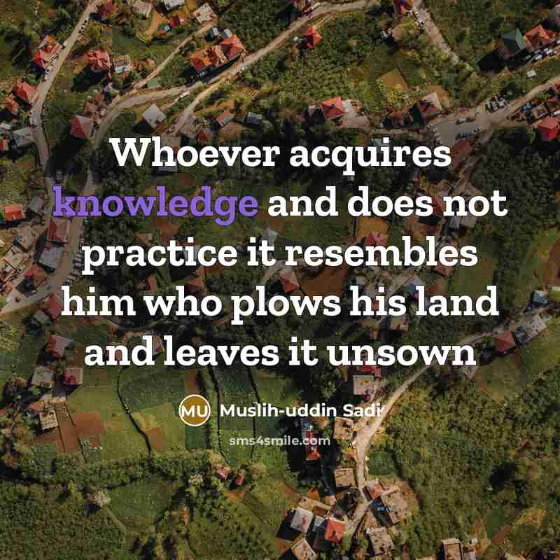 “Whoever acquires knowledge and does not practice it resembles him who plows his land and leaves it unsown” quote by Muslih-uddin Sadi