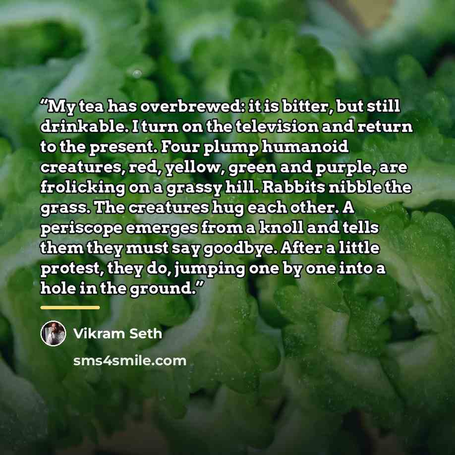 “My tea has overbrewed: it is bitter, but still drinkable. I turn on the television and return to the present. Four plump humanoid creatures, red, yellow, green and purple, are frolicking on a grassy hill. Rabbits nibble the grass. The creatures hug each other. A periscope emerges from a knoll and…” quote by Vikram Seth