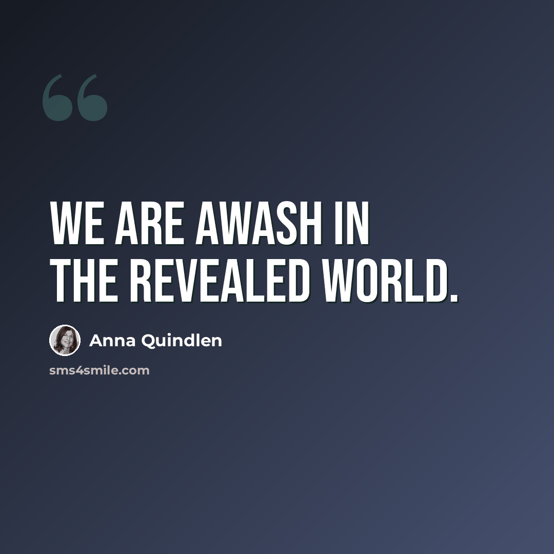 “We are awash in the revealed world.” quote by Anna Quindlen