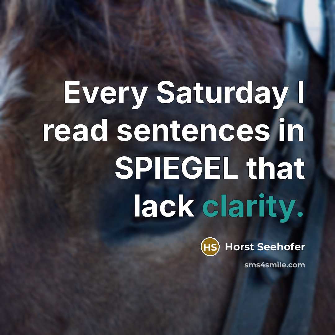 “Every Saturday I read sentences in SPIEGEL that lack clarity.” quote by Horst Seehofer