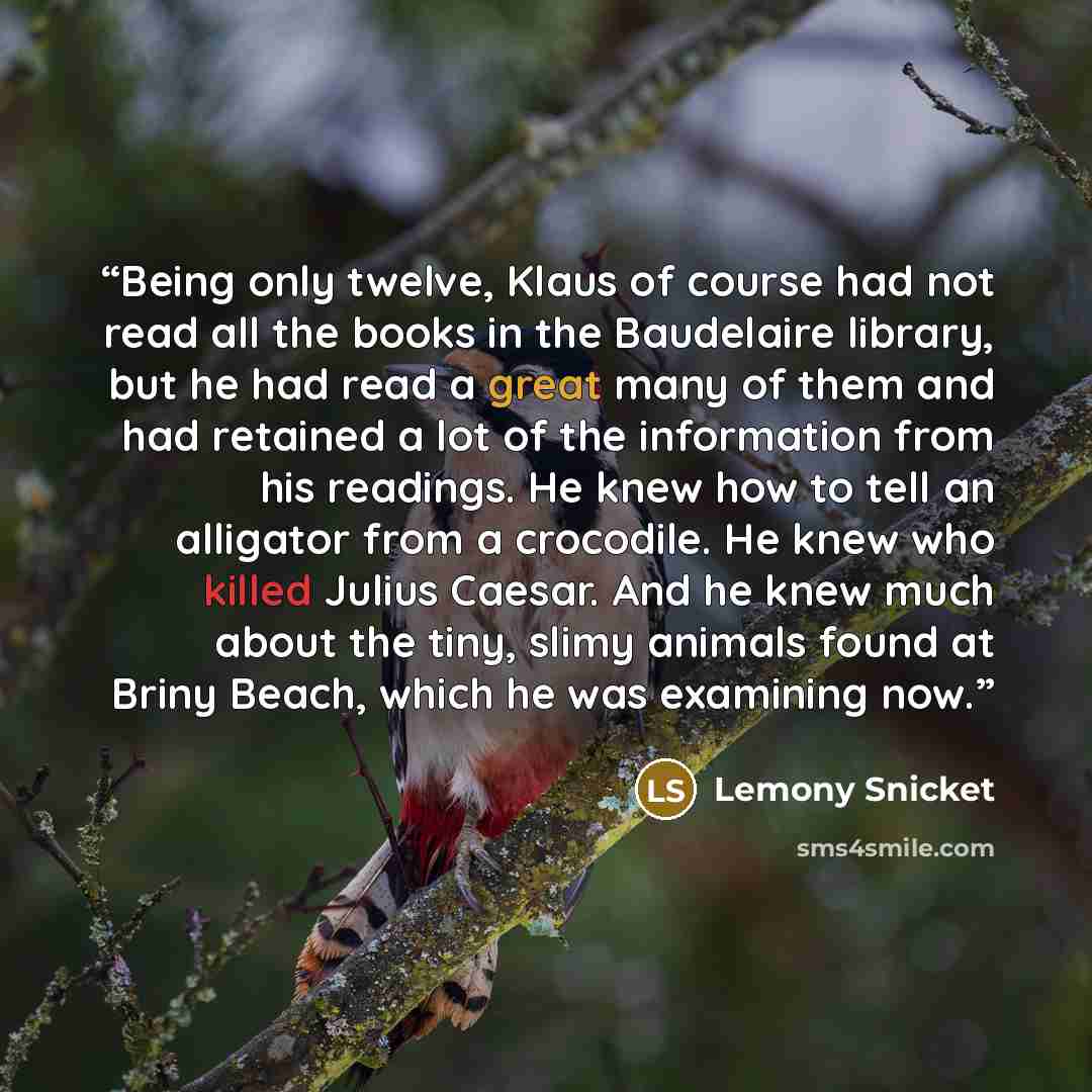 “Being only twelve, Klaus of course had not read all the books in the Baudelaire library, but he had read a great many of them and had retained a lot of the information from his readings. He knew how to tell an alligator from a crocodile. He knew who killed Julius Caesar. And he knew much about the…” quote by Lemony Snicket