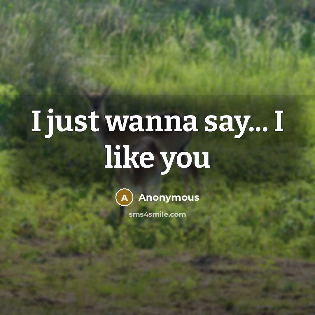 “I just wanna say... I like you” quote by Anonymous