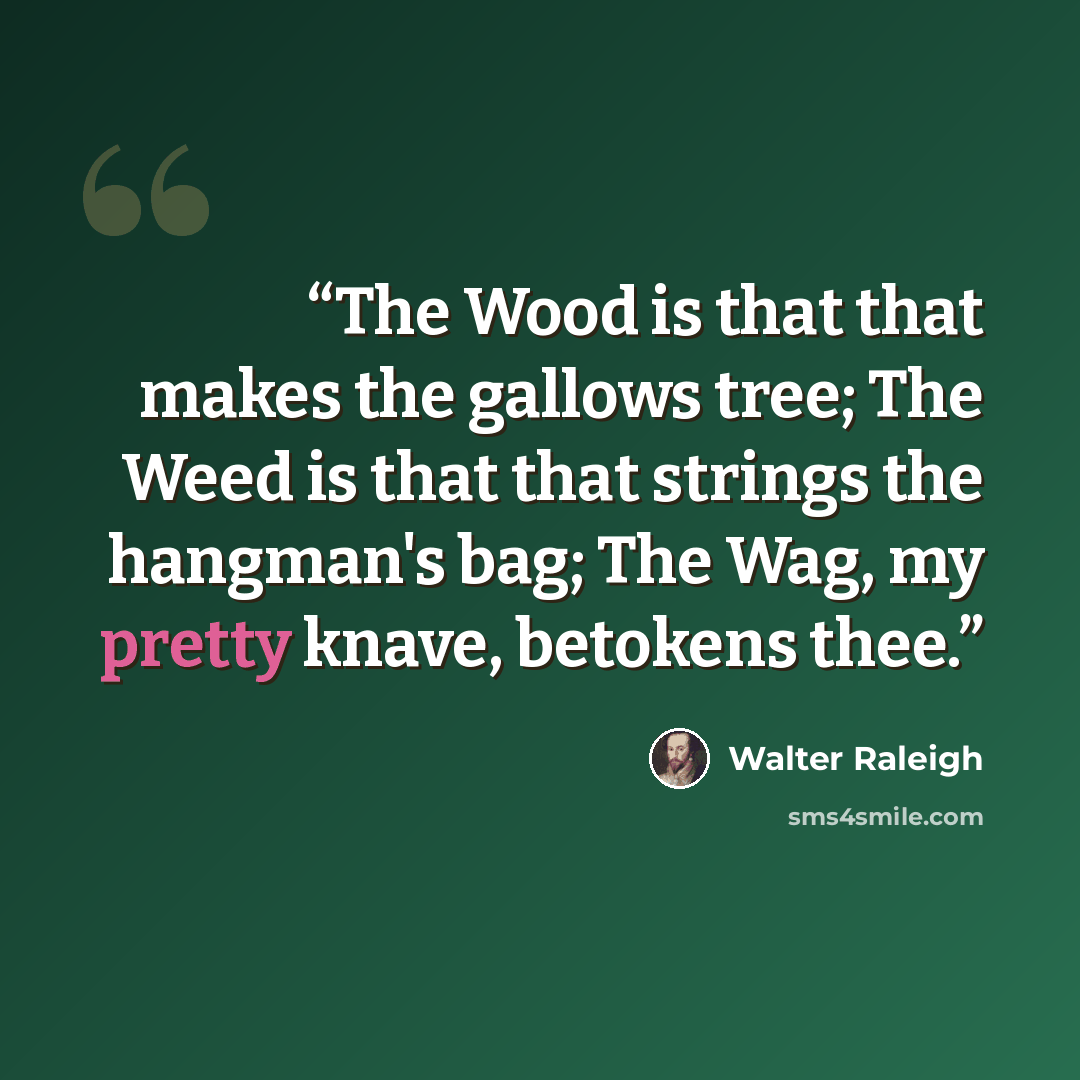 “The Wood is that that makes the gallows tree; The Weed is that that strings the hangman's bag; The Wag, my pretty knave, betokens thee.” quote by Walter Raleigh