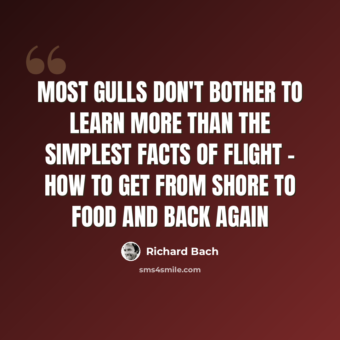“Most gulls don't bother to learn more than the simplest facts of flight - how to get from shore to food and back again” quote by Richard Bach