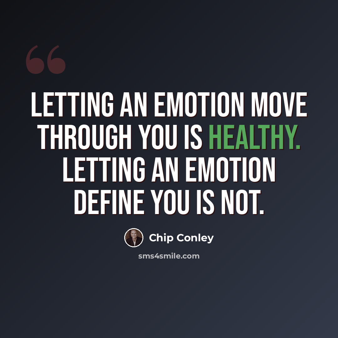 “Letting an emotion move through you is healthy. Letting an emotion define you is not.” quote by Chip Conley