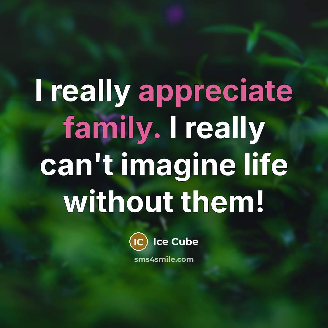 “I really appreciate family. I really can't imagine life without them!” quote by Ice Cube