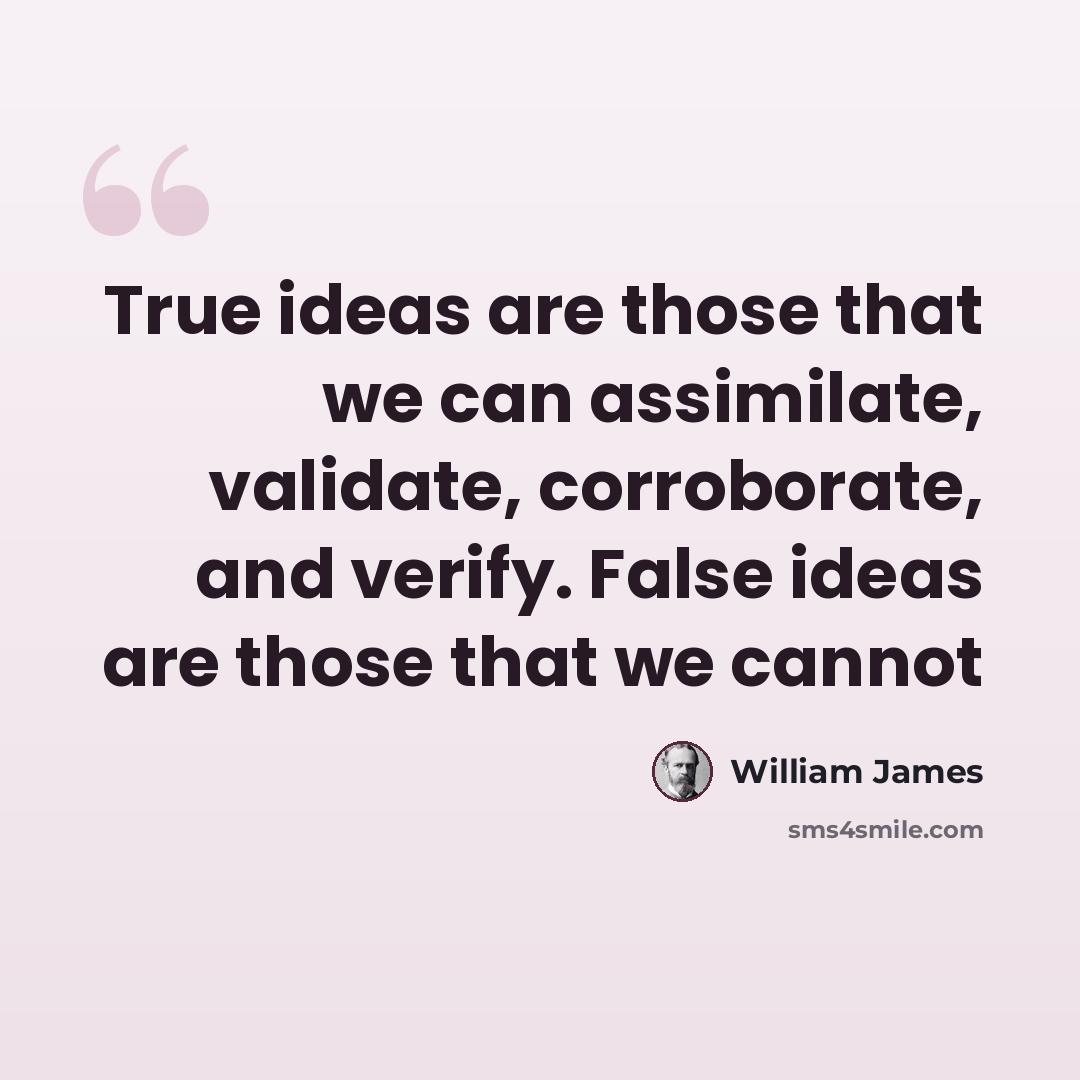 “True ideas are those that we can assimilate, validate, corroborate, and verify. False ideas are those that we cannot” quote by William James
